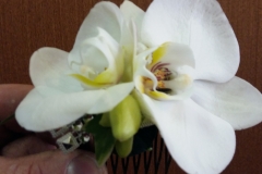 20160501_115028